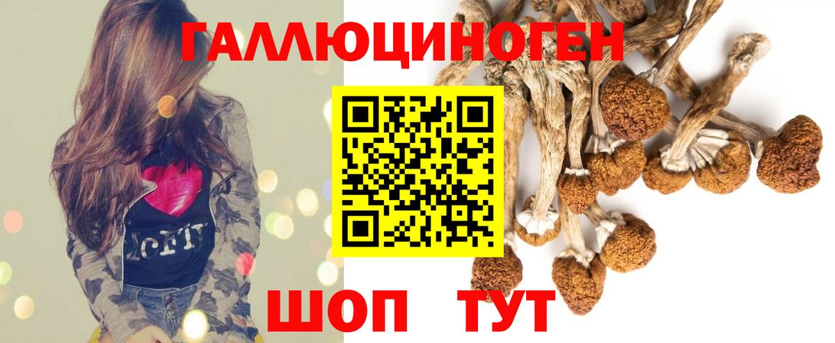 Псилоцибиновые грибы Psilocybe  Псилоцибиновые грибы Cubensis  Новодвинск  Вход с VPN 
